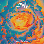 311 - Full Bloom [2024] Coke Bottle Clear Colored Vinyl. NEW