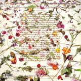 PRINCE & THE REVOLUTION - Purple Rain [1984] orig US pressing. USED