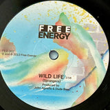 FREE ENERGY - "Girl's Want Rock" / "Wild Life" [2013] RSD 7" single. USED