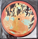 FLAMING LIPS, THE - "The Yeah Yeah Yeah Song" / "Why Does It End?" [2006] 7" picture disc. USED