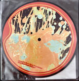 FLAMING LIPS, THE - "The Yeah Yeah Yeah Song" / "Why Does It End?" [2006] 7" picture disc. USED