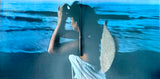 RONSTADT, LINDA - Hasten Down the Wind [1976] USED