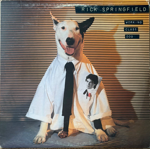 SPRINGFIELD, RICK - Working Class Dog [1981] Canadian press. USED