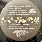 WILCOX, DAVID - How Did You Find Me Here [1989] USED