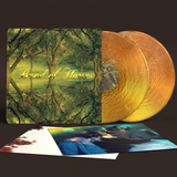 Band Of Horses Everything All the Time (20th Anniversary Edition) (Limited Edition, Metallic Gold Colored Vinyl) (2 Lp's)