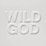 CAVE, NICK & THE BAD SEEDS - Wild God [2024] NEW