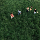 Parcels Loved [Lp]