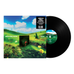 Rainbow Kitten Surprise Bones (Standard Black Vinyl)