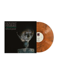 VIOLENT FEMMES - Hallowed Ground [2024] Indie Exclusive, Limited Edition, Orange Smoke Colored Vinyl. NEW