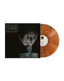 VIOLENT FEMMES - Hallowed Ground [2024] Indie Exclusive, Limited Edition, Orange Smoke Colored Vinyl. NEW