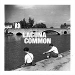 LACUNA COMMON "Not The Same" / "Under the Lamplight" [2019] UK 7" white vinyl. USED