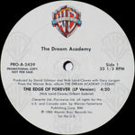 DREAM ACADEMY "This World" [1985] Promotional 12" single USED