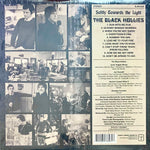 BLACK HOLLIES, THE - Softly Towards The Light [2009] Near Mint. USED