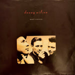 DANNY WILSON "Mary's Prayer" /  "Monkey's Shiny Day" [1987] 7" single USED