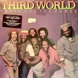 THIRD WORLD - You've Got The Power [1982] nice copy. USED