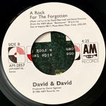 DAVID & DAVID "Welcome to The Boomtown" / "A Rock For the Forgetten" [1986] 7" single. USED