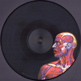 TOOL -  Lateralus [2020] Picture Disc, 2LPs. NEW